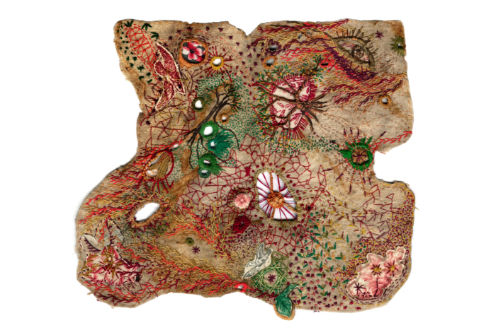 Historia de vida en puntadas