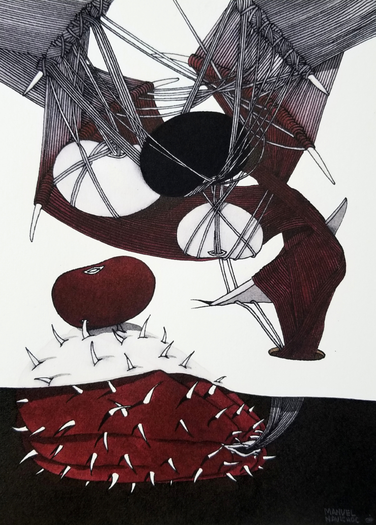 Conocimiento en Transición