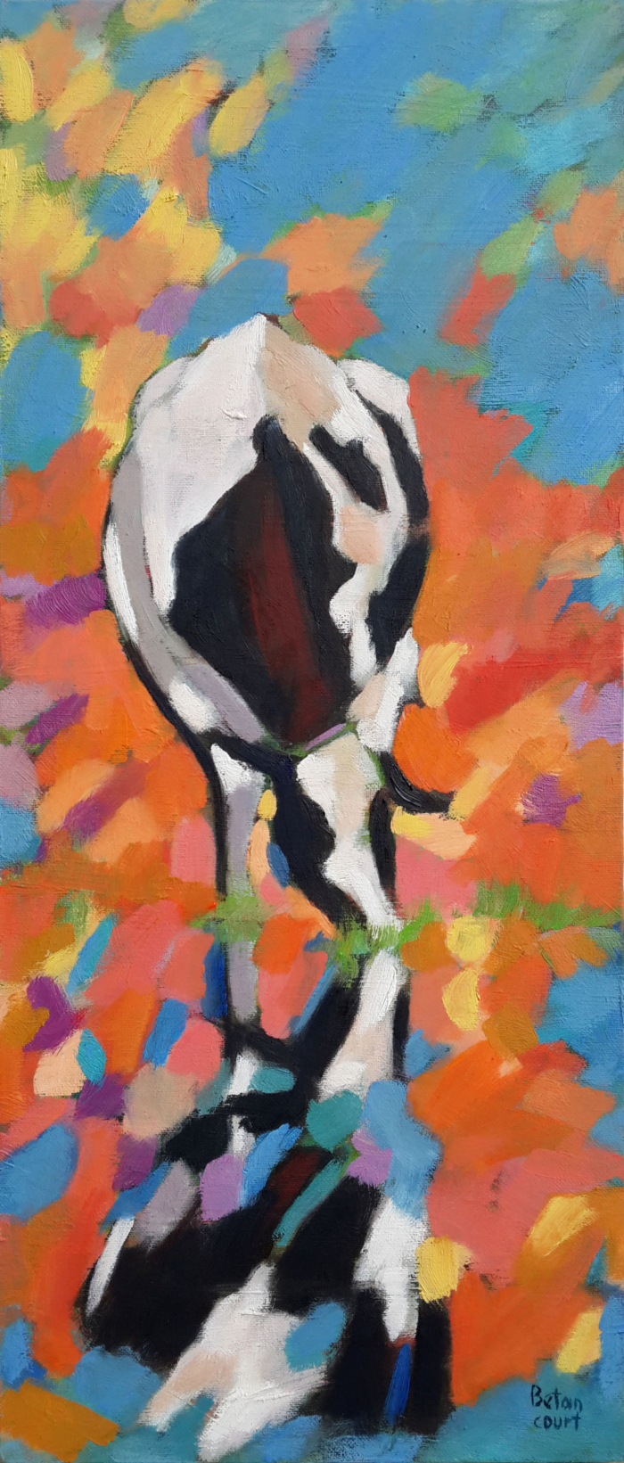 Cuando no todo es lo que parece