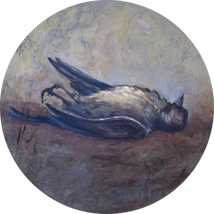 ¿Quién abrió la jaula?